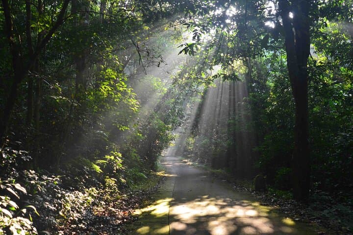 Cuc Phuong Trek From Ninh Binh: Endangered Primates, Ancient Trees & Jungle Trails photo 5