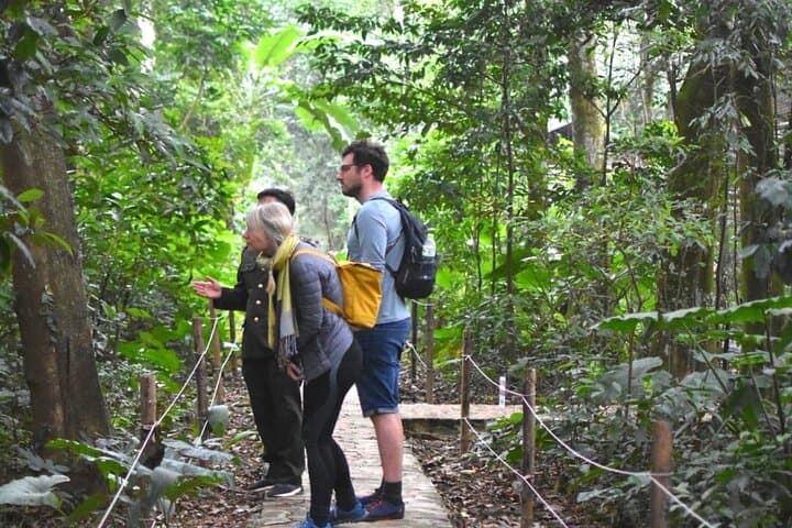 Cuc Phuong Trek From Ninh Binh: Endangered Primates, Ancient Trees & Jungle Trails