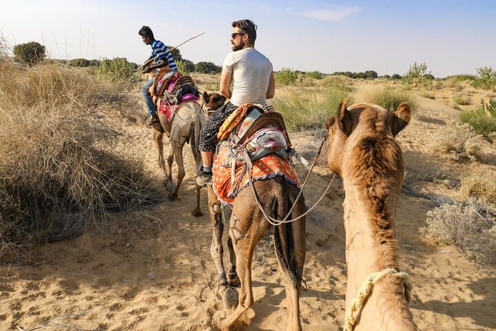 Thar Desert Camel Safari: 1-Night, 2-Day Jaisalmer Sand-Dune Adventure photo 4