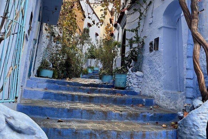 Discover Chefchaouen: A Blue City Day Trip from Fes