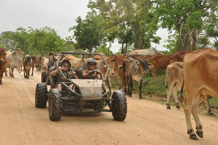 Bayahibe Buggy Adventure: Drive Beaches, Rivers & Mangroves in 4 Hours photo 4