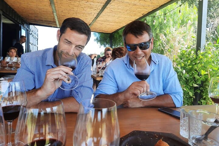 Private Luján de Cuyo Wineries Tour — Malbec Tastings & Private Driver