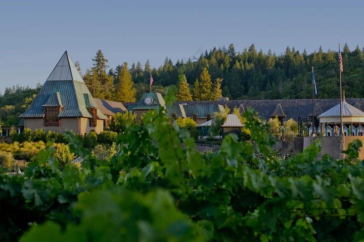 Healdsburg Private Wine Tour: 6-Hour Coppola, J Vineyards & Rodney Strong Experience photo 1