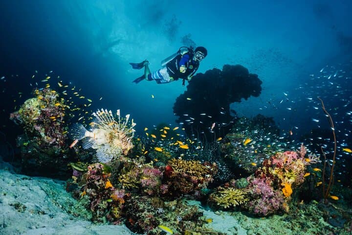 Similan Islands 2-Day Liveaboard: MV Koon Scuba Trip from Phuket photo 3