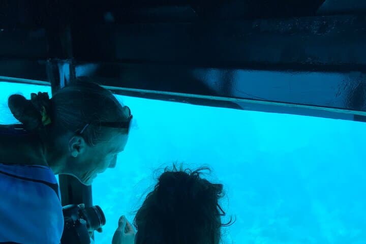 Bora Bora Private Underwater Excursion: Air-Conditioned Lagoon Cabin Experience photo 5