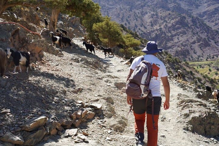 Atlas Mountains Day Trek from Marrakech — Summit Isk (2,600 m) in Toubkal National Park photo 6