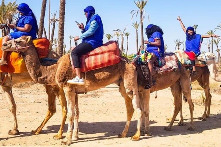 Sunset Camel Ride in Marrakech Palmeraie: Palm Grove Caravan & Berber Tea photo 5