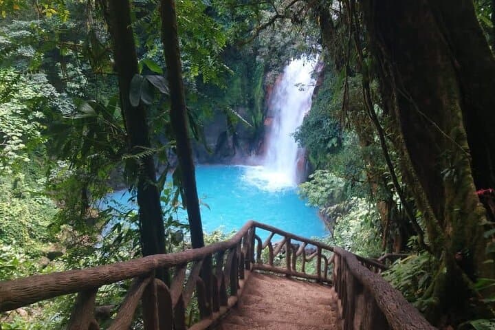 Rio Celeste Hike and Sloth-Watching in Tenorio National Park photo 2