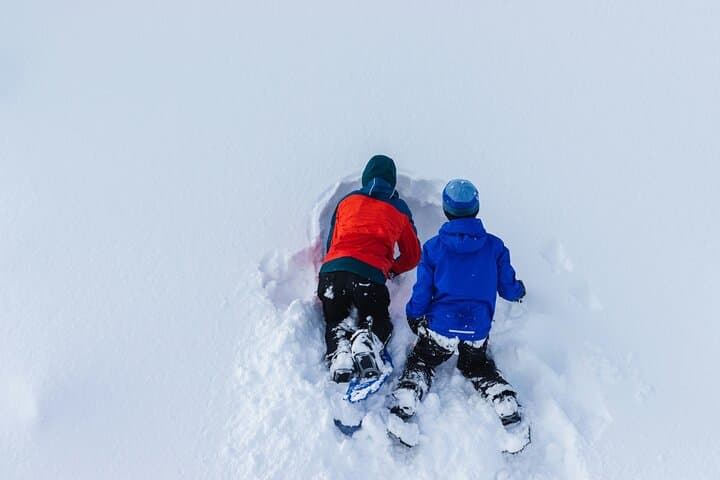 Arctic Snowshoeing with Wild Lunch near Rovaniemi photo 4