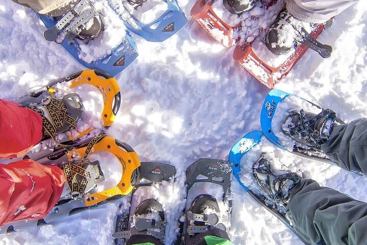 Arctic Snowshoeing with Wild Lunch near Rovaniemi