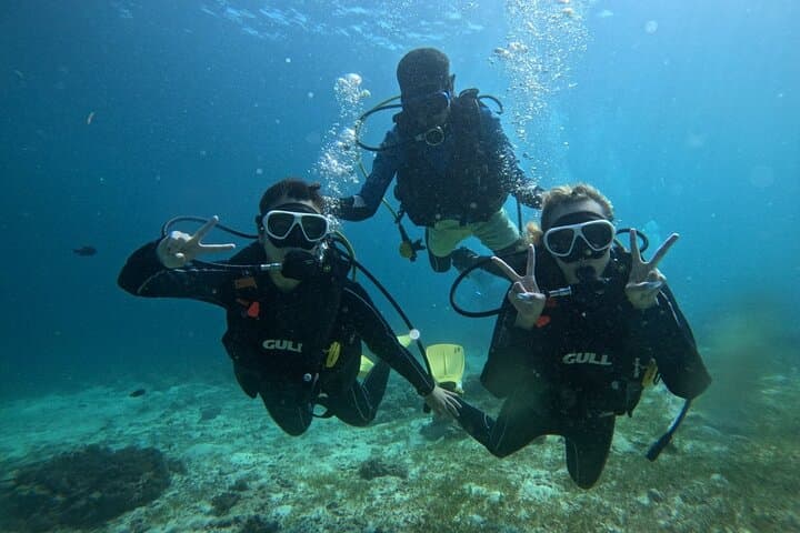 Mactan Beach-Entry Scuba Diving — Turtles, Sardines & Beginner-Friendly Dives photo 2