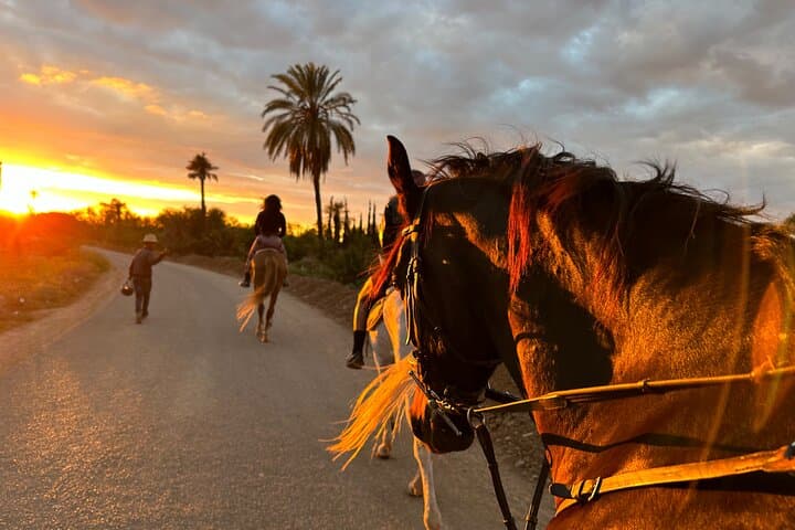 Private Horseback Ride through Marrakech's Palmeraie with Berber Tea photo 5
