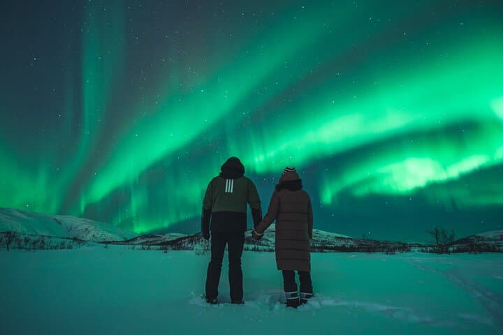 Chasing the Aurora: Tromsø Northern Lights Bus Tour photo 3