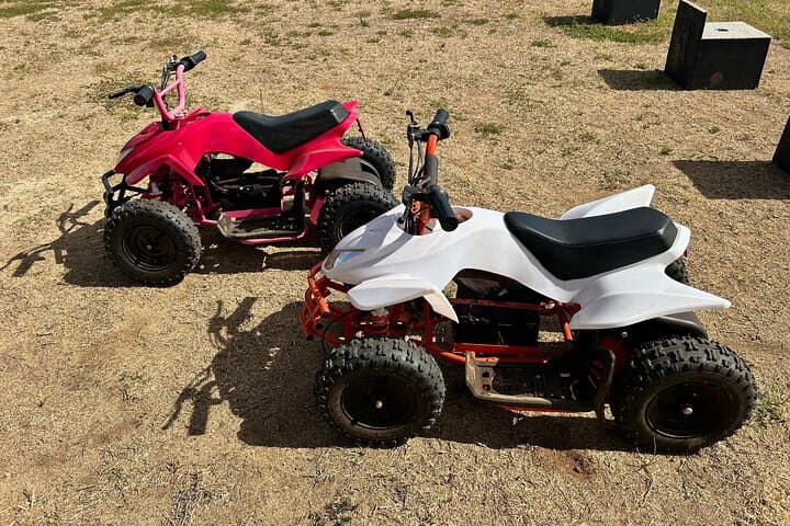 Mini ATVs and Farm Animal Experience on Oahu's North Shore