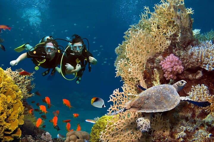 Beginner Scuba Diving in Hurghada: Two Guided Dives with Lunch & Hotel Pickup photo 2