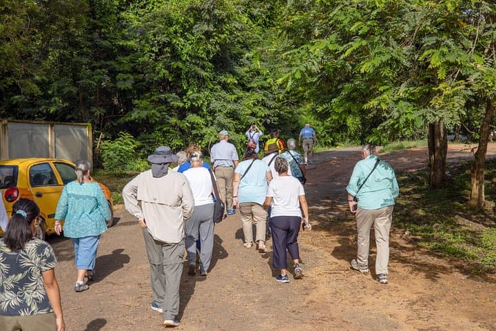 Ghana Shore Excursion: Cape Coast Castle, Kakum Canopy Walk & Cultural Highlights photo 4