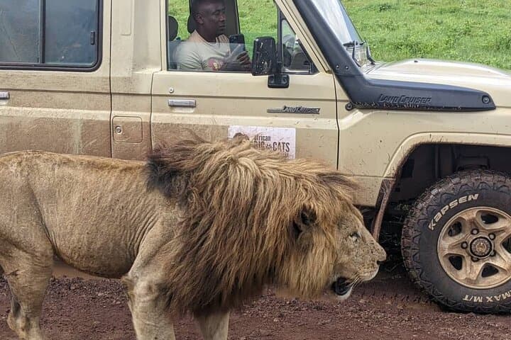Tarangire National Park Full-Day Safari from Arusha: Elephants, Baobabs & River Game Drives photo 4