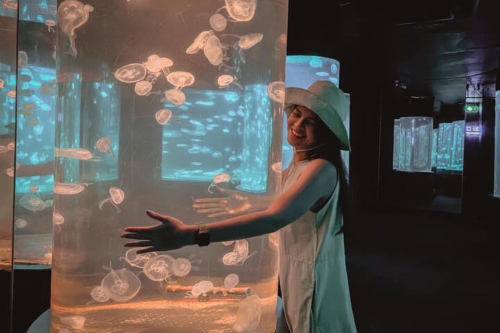 Underwater World Pattaya: 105-Meter Acrylic Tunnel & Interactive Aquarium Experience photo 6