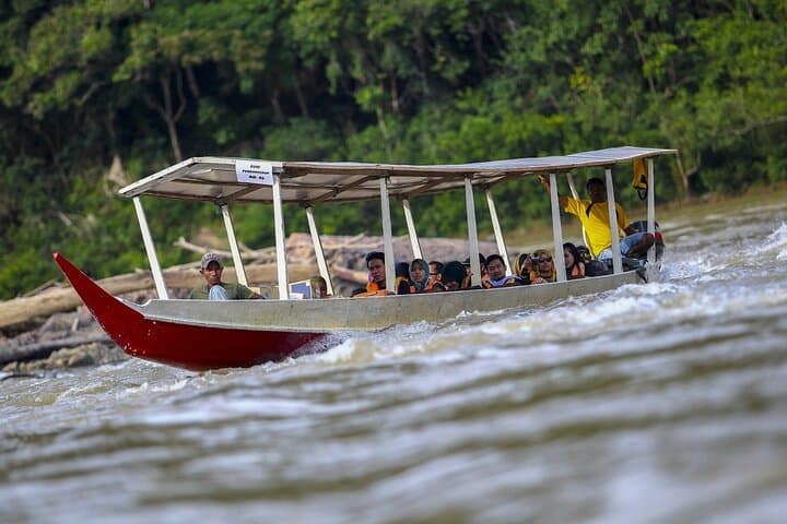 Taman Negara Full-Day Trek: Jungle Trekking, Rapids & Canopy Walk from Kuala Lumpur photo 3