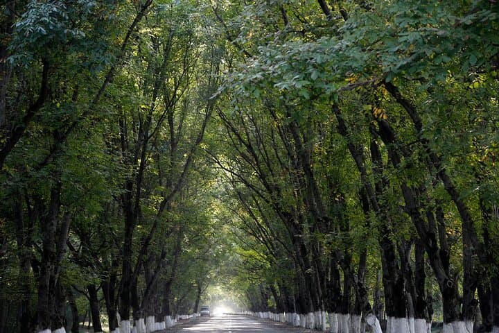 4-Day Baku to Sheki and Qax Cultural & Nature Tour (Hotel Included) photo 6