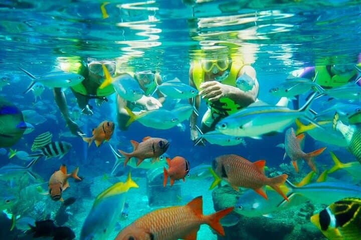 Adventure Cove Waterpark Guide: Rides, Rainbow Reef & Planning Tips photo 5