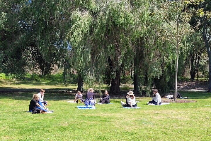 Forest Bathing in Kings Park: 3-Hour Guided Mindfulness Walk in Perth photo 4