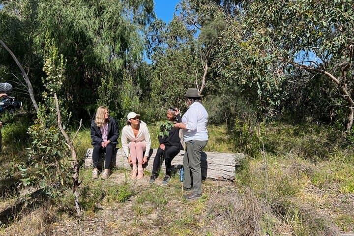 Forest Bathing in Kings Park: 3-Hour Guided Mindfulness Walk in Perth photo 6