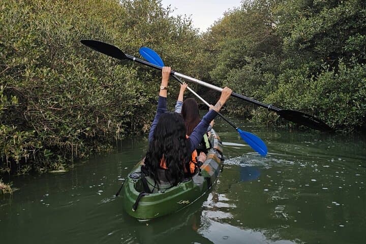 Mangrove Kayak Tour in Bahrain — Paddle the Coastal Mangroves Near Manama