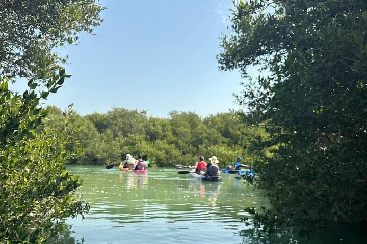 Mangrove Kayak Tour in Bahrain — Paddle the Coastal Mangroves Near Manama photo 2