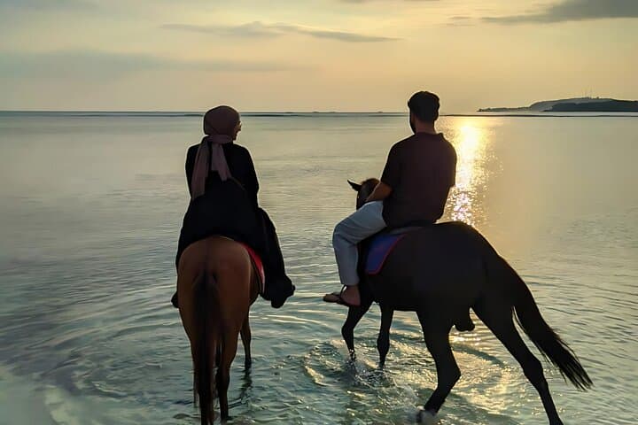 Sunrise Horseback Ride on Gili Meno Beach: 1-Hour Guided Tour photo 3