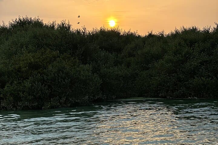 Mangrove Kayak Tour in Bahrain — Paddle the Coastal Mangroves Near Manama photo 5