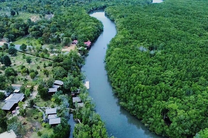 Bintan Mangrove & Fireflies Discovery Tour — Sebung River Eco-Boat Experience photo 2