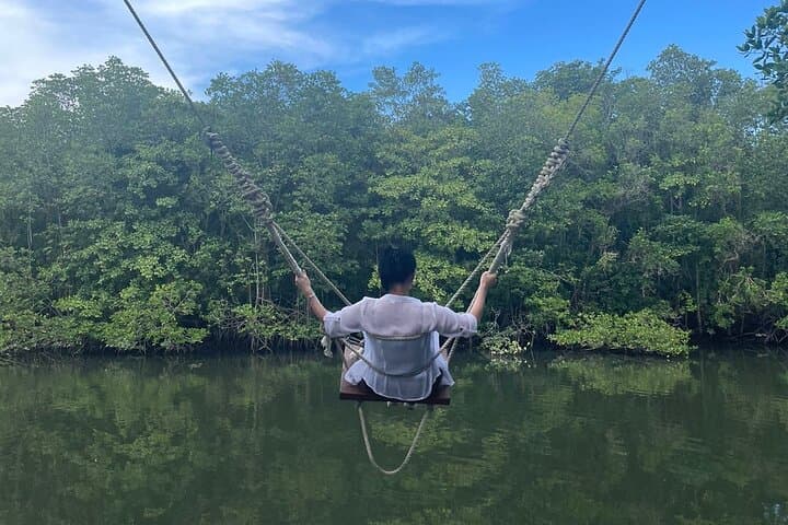 Bintan Mangrove & Fireflies Discovery Tour — Sebung River Eco-Boat Experience photo 3
