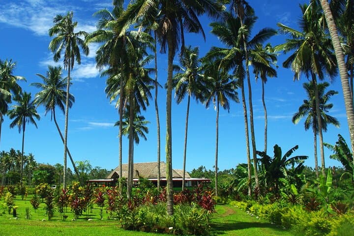 Mangrove to Lagoon Kayak & Paddleboard Adventure in Safata Bay, Samoa photo 2