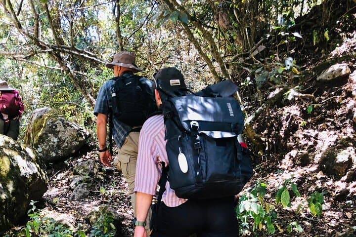 Kilimanjaro Wanderlust: Rainforest Day Hike Near Moshi photo 5