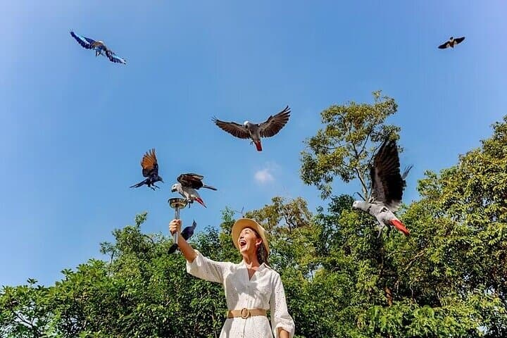 Singapore Bird Paradise Visitor Guide: Tickets, Shows & Tips photo 4