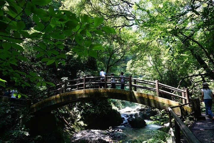 Takachiho Gorge Day Tour: Kamishikimi Shrine, Amano Iwato & Boat Ride photo 3