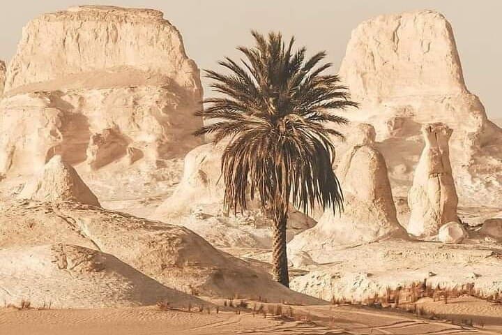 White Desert Ultimate Safari: 2-Day Camping & Sandboarding from Farafra