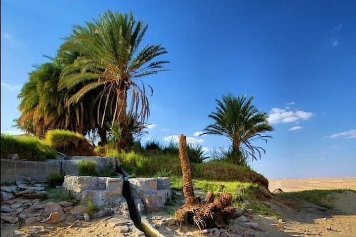 White Desert Ultimate Safari: 2-Day Camping & Sandboarding from Farafra photo 3
