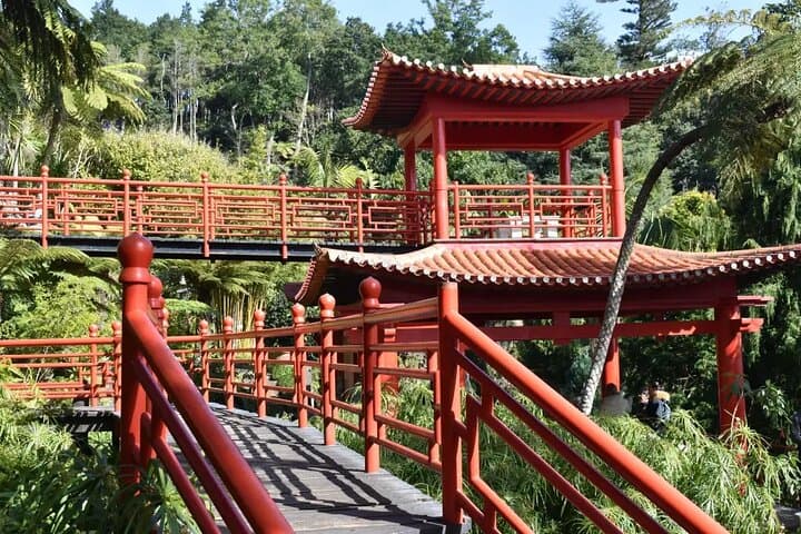 Funchal to Monte Palace Half-Day: Cable Car, Market & Botanical Garden photo 2