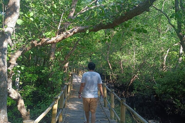 Paddle the Bali Mangroves and Sunset at Uluwatu: Canoeing, Temple Views & Kecak Dance photo 4