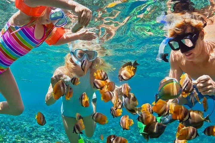 Snorkel Tiran Island: Full-Day Boat Trip from Sharm El Sheikh