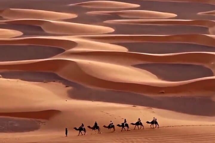 Overnight Desert Camp in Erg Chebbi: Camel Trek, Stargazing & Berber Tents
