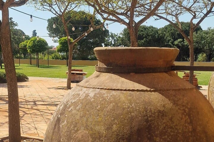 Arrábida & Setúbal Wine Tour from Lisbon: Azeitão Market, Tile Workshop & Wineries photo 6