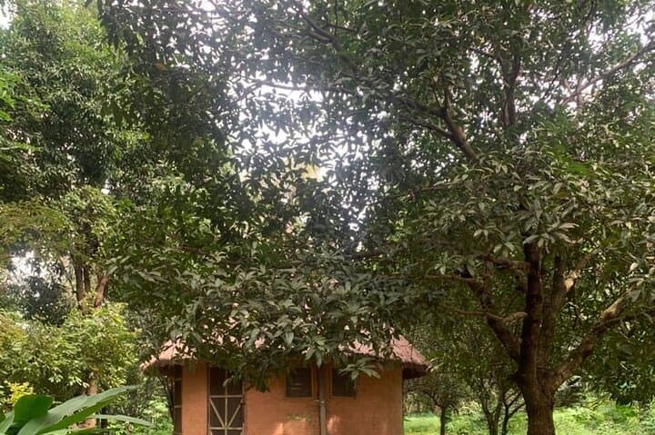 Abuja City Tour: History, Art, Kayaking & City Landmarks photo 3