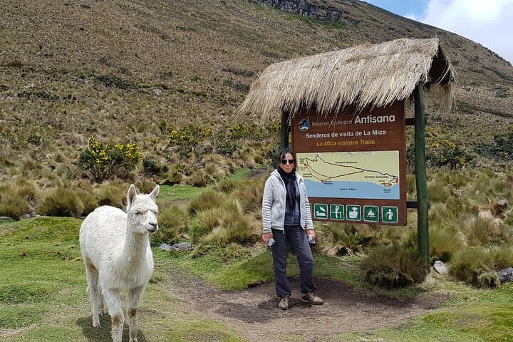 Antisana Condor Tour from Quito — Spot Andean Condors at Antisana Reserve photo 4
