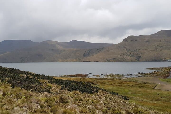 Antisana Condor Tour from Quito — Spot Andean Condors at Antisana Reserve photo 5