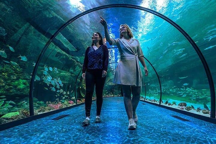National Aquarium Abu Dhabi All-Access Entry — Plan Your Visit photo 4