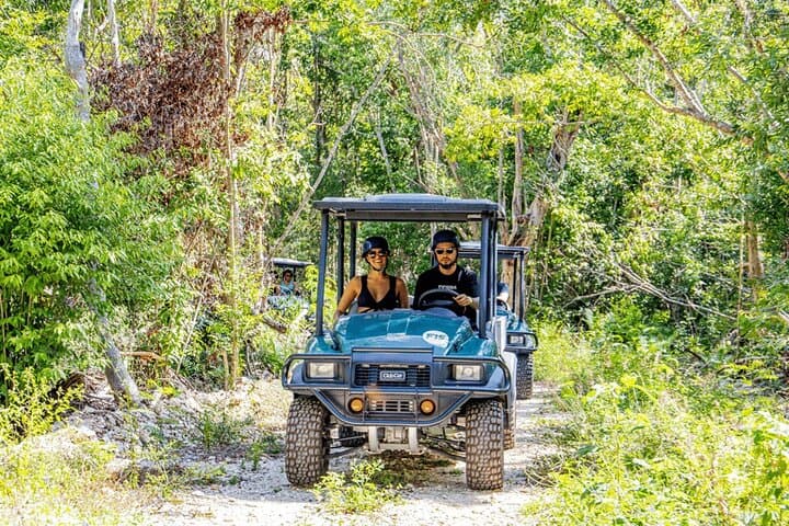 Punta Cana Art & Forest Way Half-Day 4x4 Eco Tour — Taino History & Organic Tasting photo 3