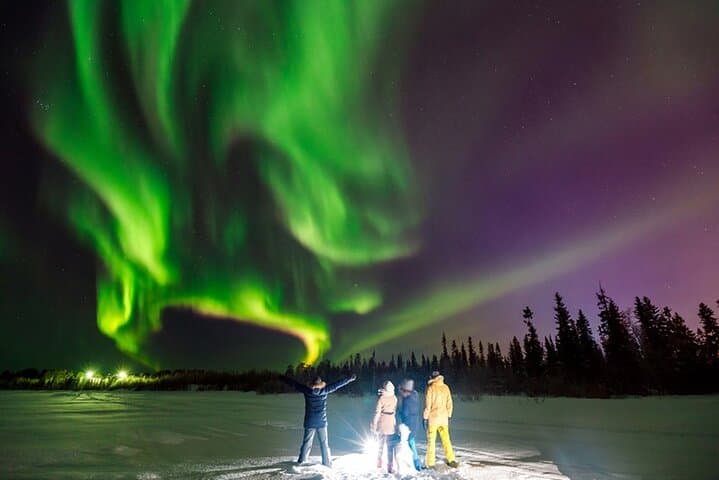 Midnight Sledge Ride to See the Northern Lights in Levi photo 4